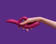 We Vibe sex toy on a purple background